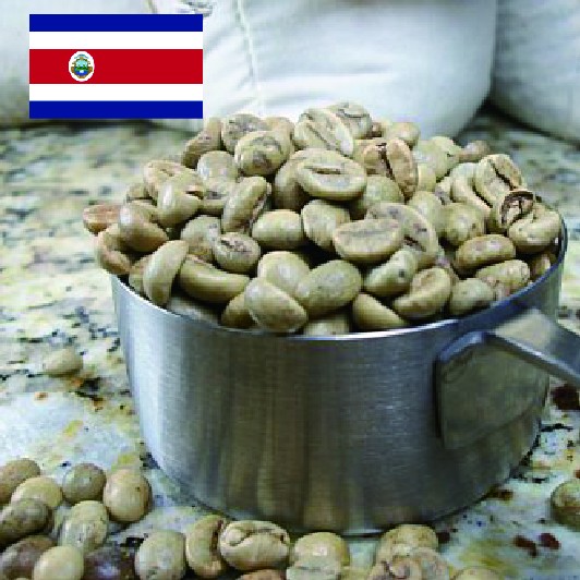 哥斯達黎加 (生豆)